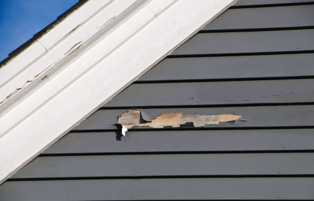 Affordable siding repair and maintenance services in Valmeyer, IL